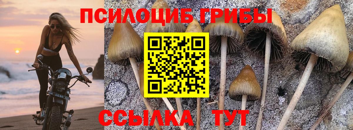 хочу наркоту  Псилоцибиновые грибы MAGIC MUSHROOMS  Галлюциногенные грибы Psilocybine cubensis  Вход с VPN  Рыбинск 